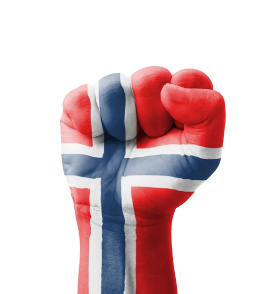 Norveç bayrağı çok amaçlı kavramı üzerinde izole - boyalı, yumruk — Stok fotoğraf