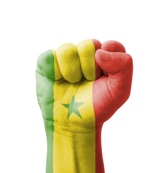 セネガル国旗塗装、マルチ目的概念 - 孤立した o の拳 — ストック写真