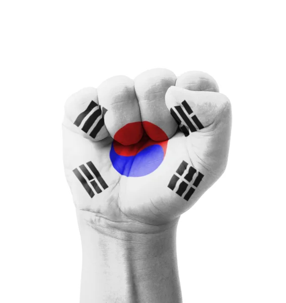 Fist of South Korea flag painted, multi purpose concept - isolat — Stock Photo, Image