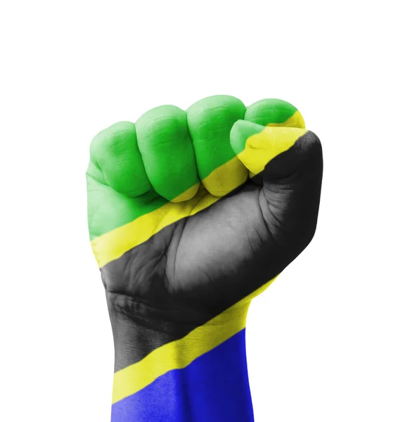 Pugno della bandiera tanzaniana dipinto, concetto multiuso isolato — Foto Stock