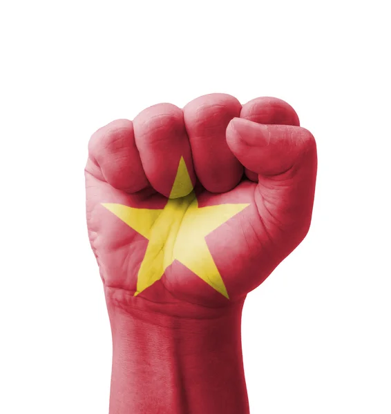 Кулак В'єтнам прапор пофарбовані, мета концепції multi - ізольованих o — стокове фото