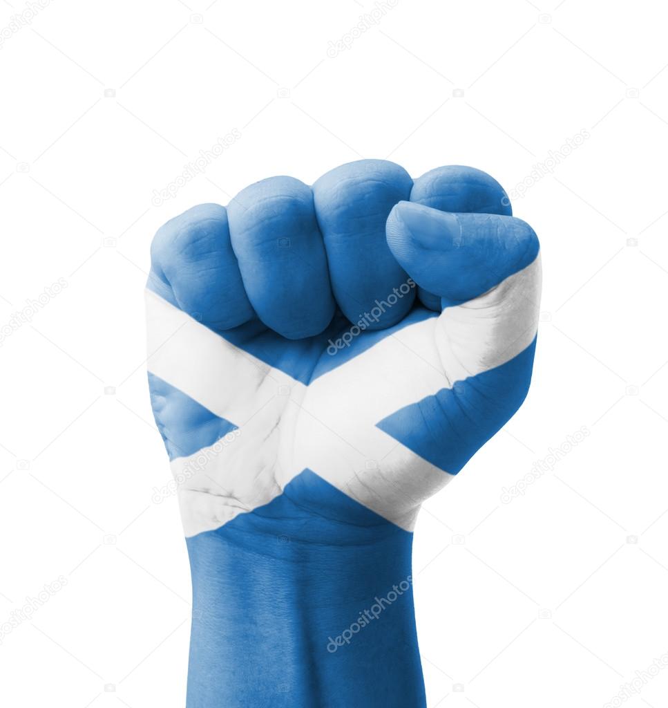 Fist of Scotland flag painted, multi purpose concept - isolated 