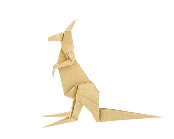 Origami kangourou recycler le papier isolé sur fond blanc — Photo