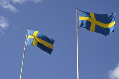 Swedish National flag