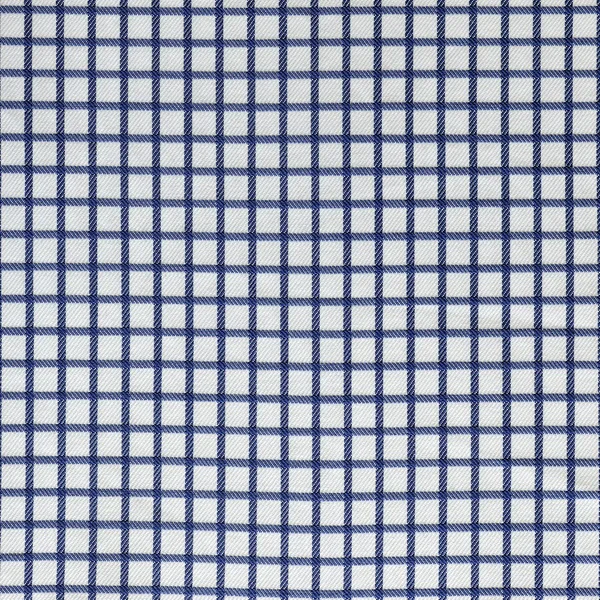파란과 백색 깅 식탁보 패턴 — 스톡 사진