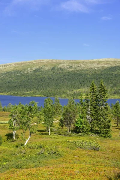 瑞典达拉那的Grovelsjon湖 — 图库照片
