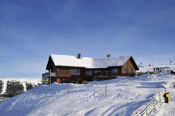 Cabaña con árbol y nieve — Foto de Stock