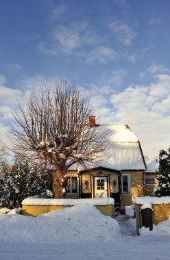 İsveçli orta sınıf ev