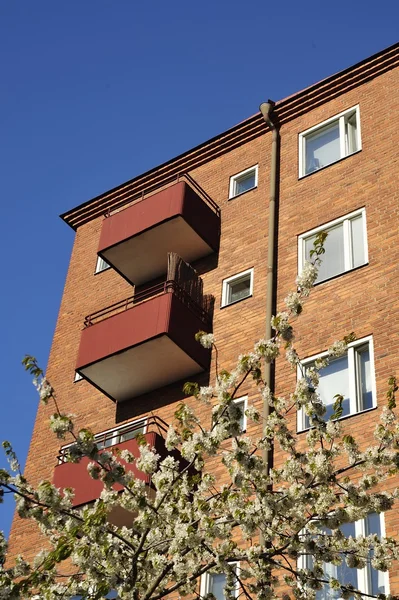 Windows and Balconies — Stock Photo, Image