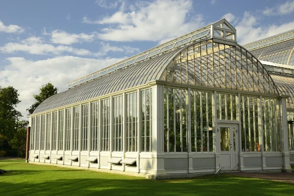 Svéd Palm House — Stock Fotó