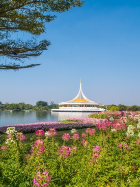 Suanluang Rama 9 kamu parki