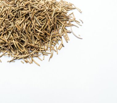 Rosemary on white background