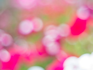 Bahar bokeh arka plan