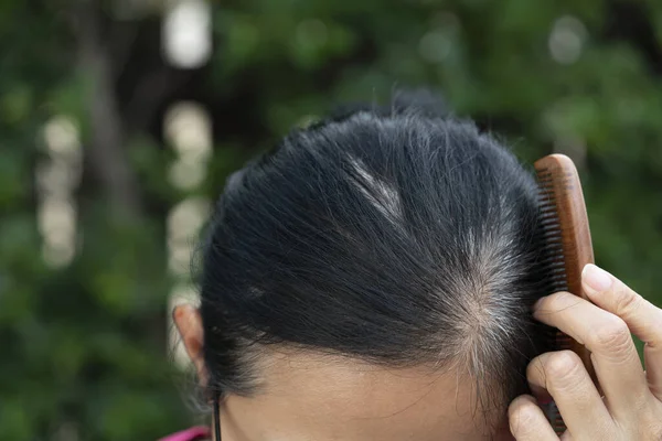Femeia Tânără Își Arată Rădăcinile Gri Ale Părului Conceptul Sănătos — Fotografie, imagine de stoc