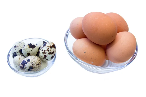 Tigelas com codornizes e ovos de galinha — Fotografia de Stock