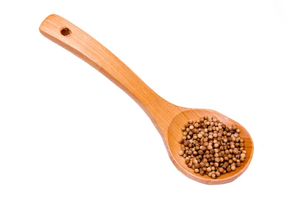 Wooden spoon with coriander seeds — Stock Photo, Image