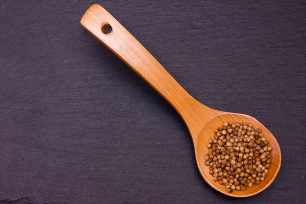 Wooden spoon with coriander seeds on slate seen from above — Stock Photo, Image