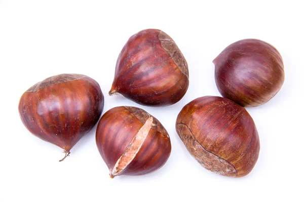 Castagne da — Foto Stock