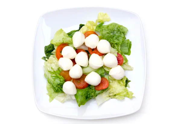 Salata domates ve mozzarella peyniri üst — Stok fotoğraf