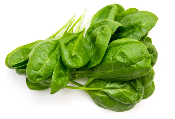 Yukarıdan taze ıspanak yaprakları