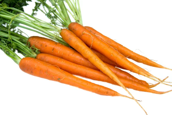 Zanahorias frescas cerrar vistas — Foto de Stock