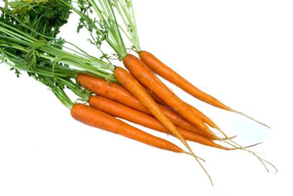 Fresh carrots — Stock Photo, Image