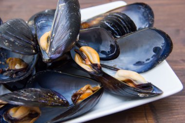 Midye ahşap üzerine beyaz tepsi üzerinde kapatın