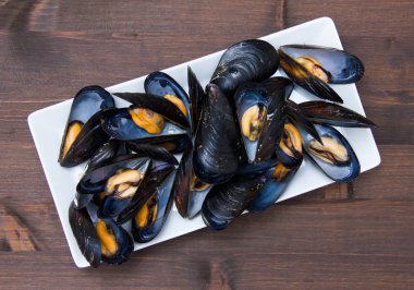 Midye yukarıdan ahşap üzerine beyaz tepsi