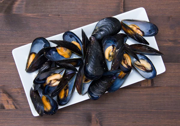 Midye yukarıdan ahşap üzerine beyaz tepsi