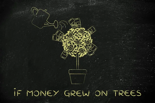 Concept of if money grew on trees — Stock Photo, Image