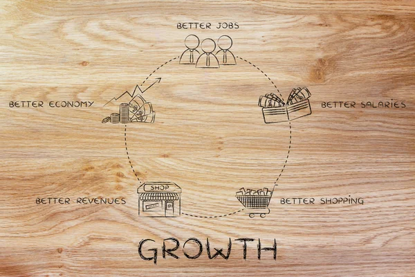 Ciclo de ilustração do crescimento — Fotografia de Stock