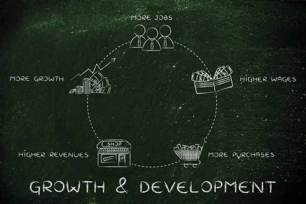 Concepto de ciclo de crecimiento y desarrollo — Foto de Stock