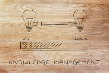 bilgi yönetimi kavramı