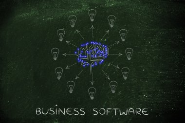 iş yazılım kavramı