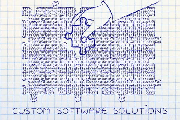 concept of custom software solutions