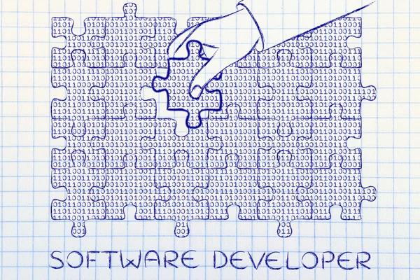 Concept of software developer — Stock Photo, Image