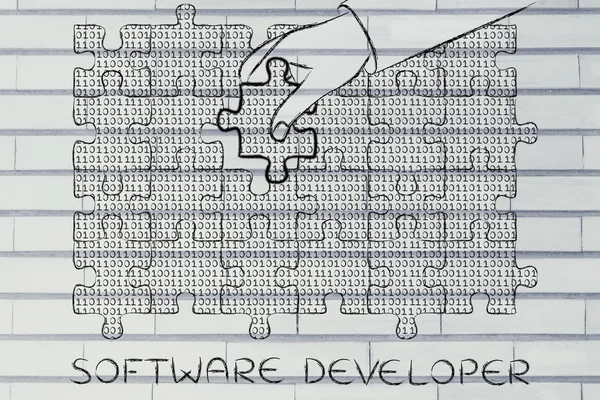 Concept of software developer — 스톡 사진