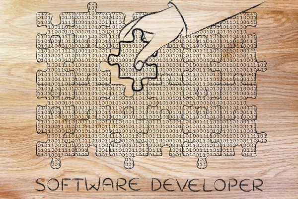 Concepto de desarrollador de software — Foto de Stock
