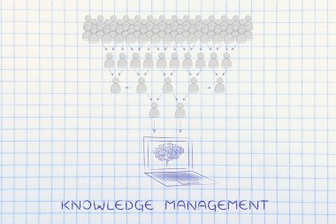 bilgi yönetimi kavramı