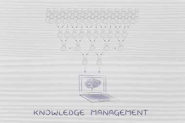 bilgi yönetimi kavramı