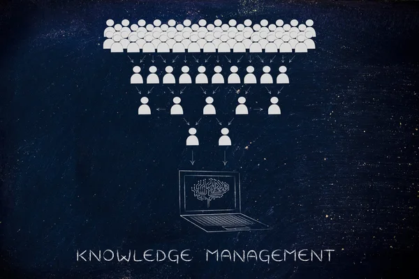 Concept of knowledge management — Stock Photo, Image