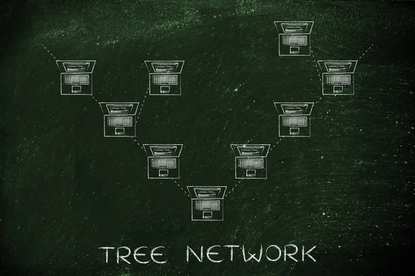 Begreppet träd nätverk — Stockfoto