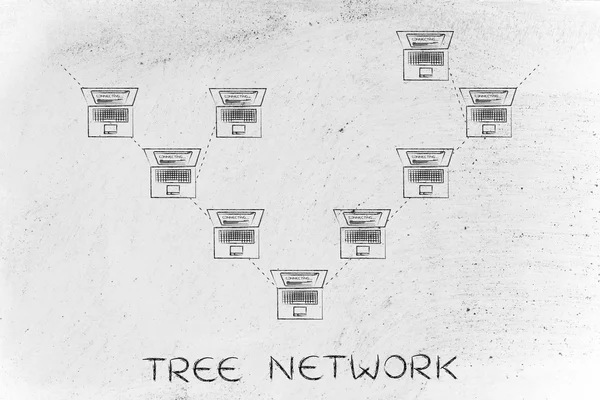 Concept of tree network — Stock Photo, Image