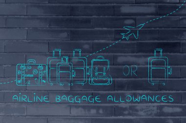 havayolu bagaj hakları kavramı