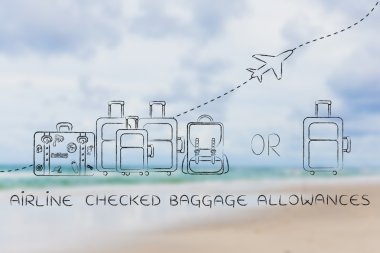 havayolu kontrol edilmiş bagaj hakları kavramı