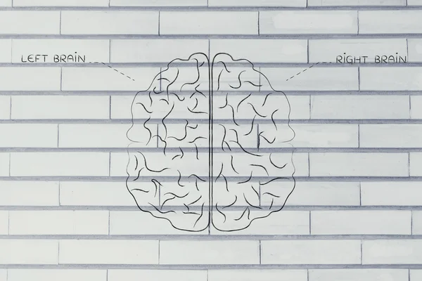 Left and right brain illustration — Stock Photo, Image