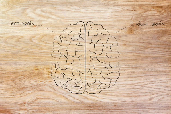 左、 右脑的插图 — 图库照片