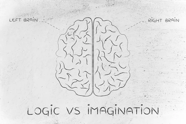 Concepto de lógica vs imaginación —  Fotos de Stock