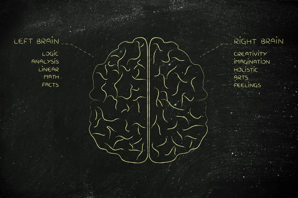 left and right brain with function descriptions