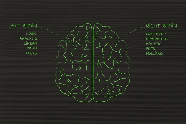 Lewy i prawy mózg z opisem funkcji — Zdjęcie stockowe